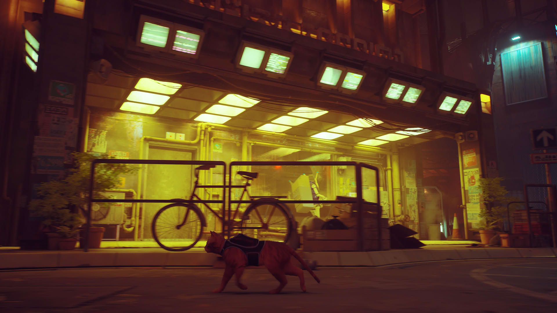Screenshot for Stray