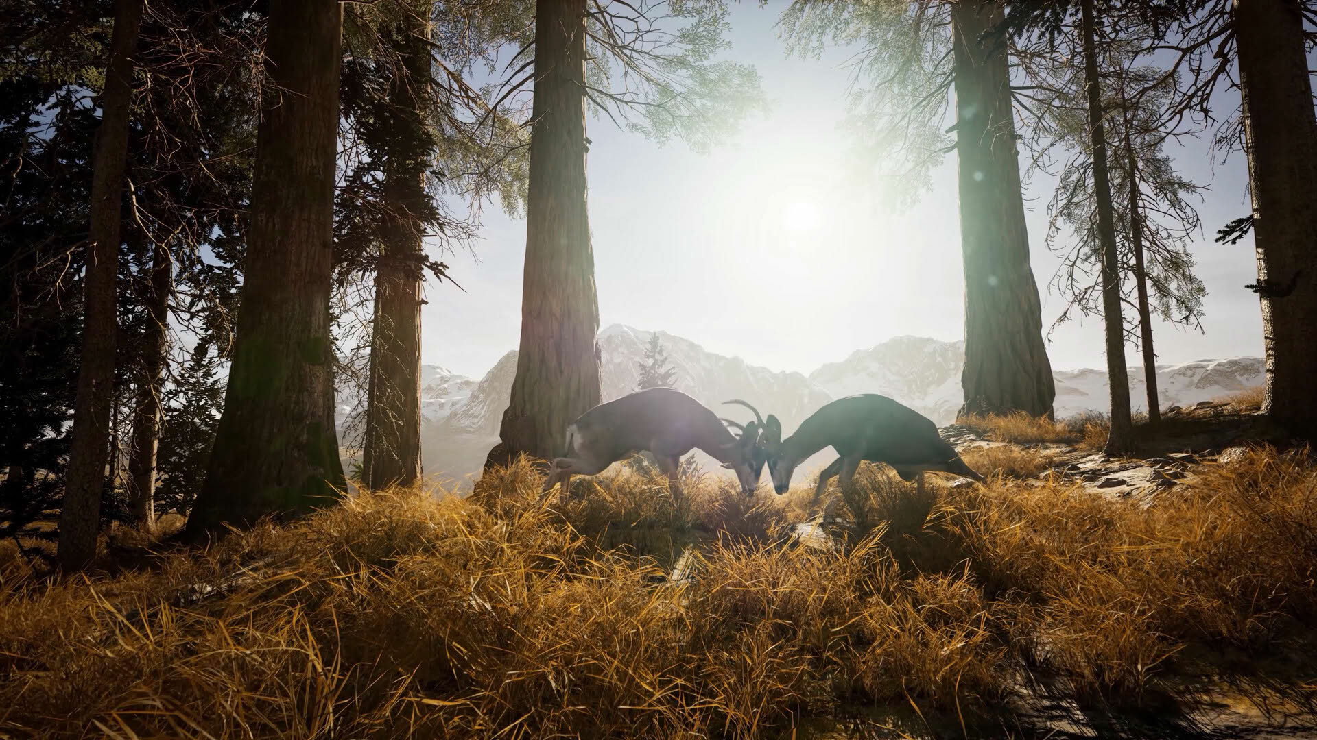 Screenshot for Ultimate Hunting