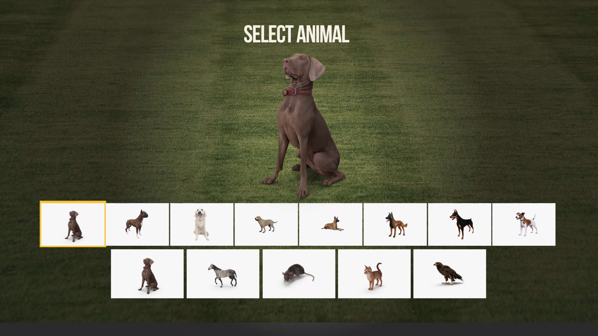 Screenshot for Animal Trainer