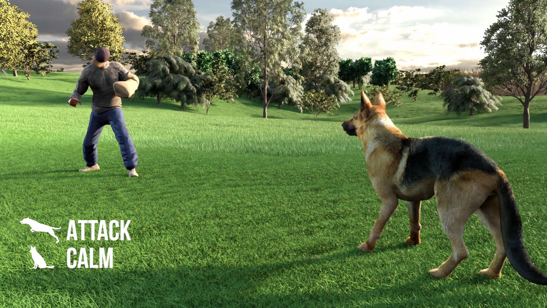 Screenshot for Animal Trainer