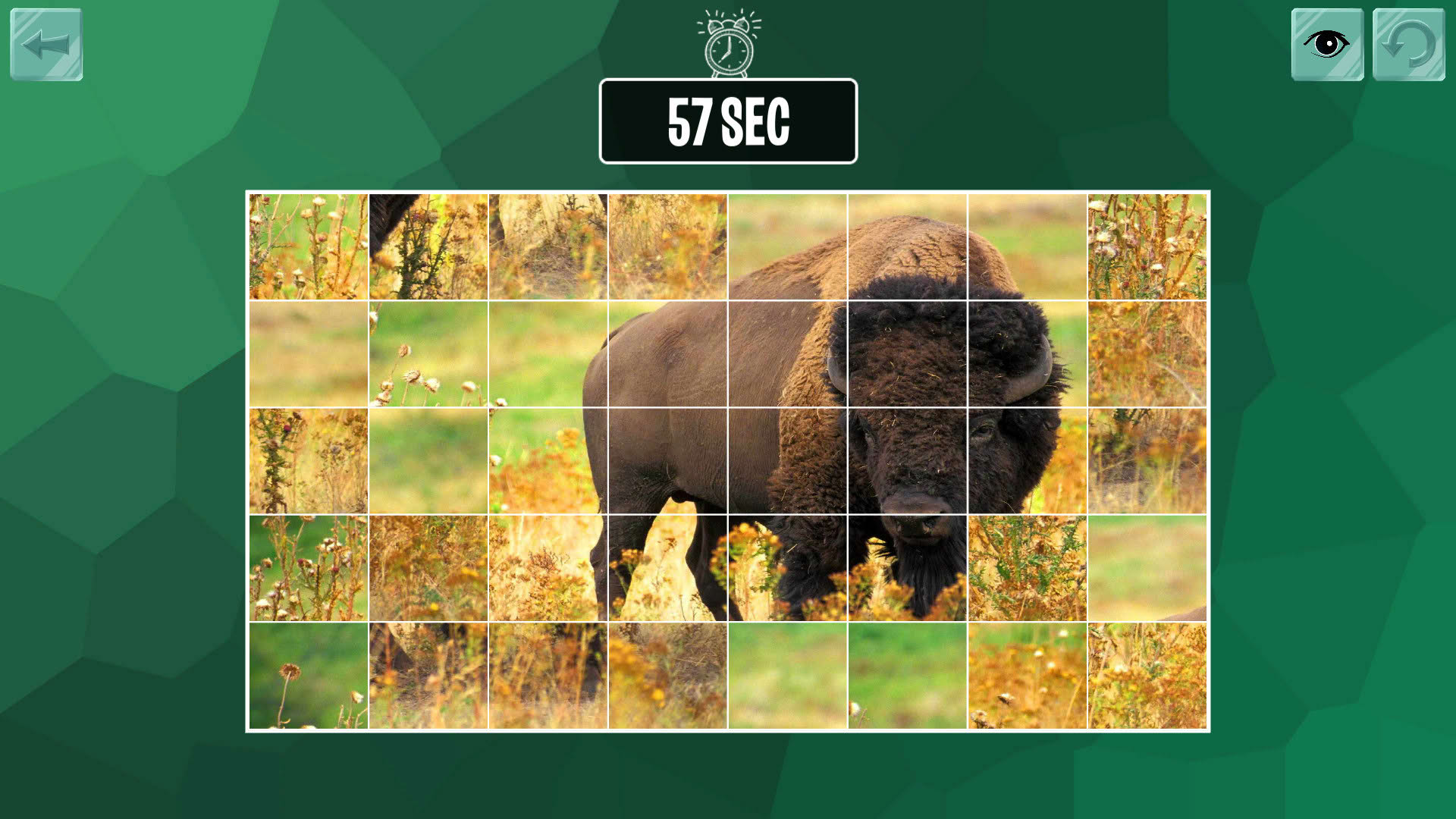 Screenshot for Easy puzzle: Animals 2