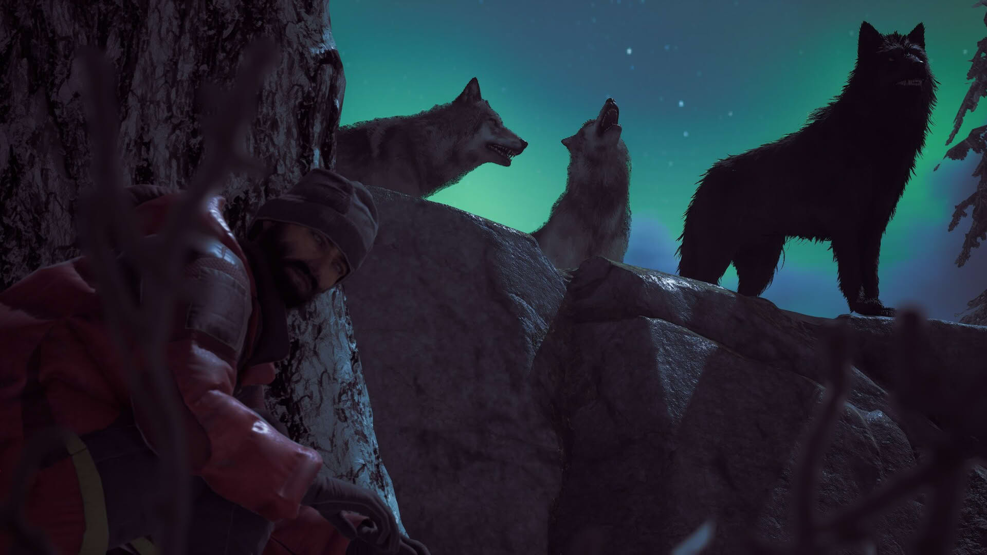 Screenshot for Winter Survival