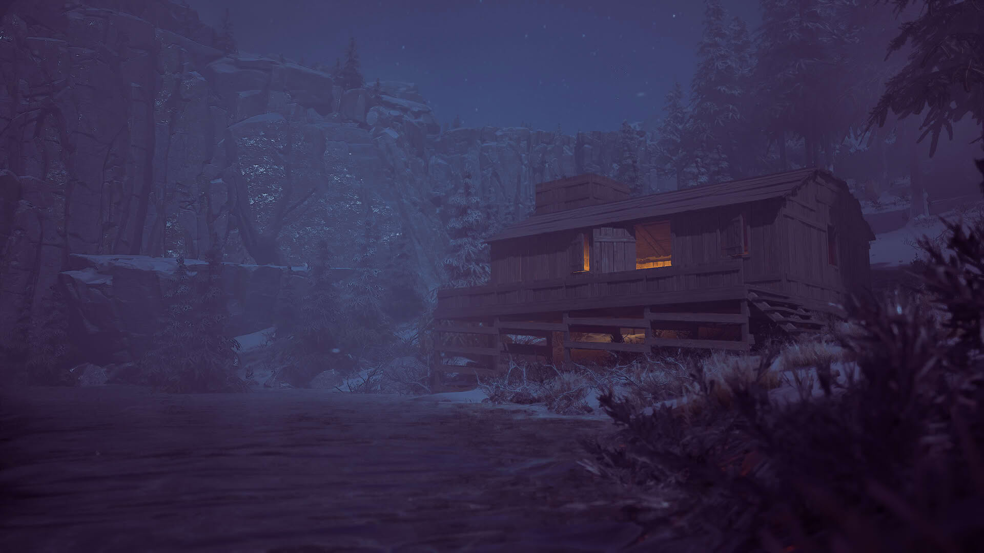 Screenshot for Winter Survival