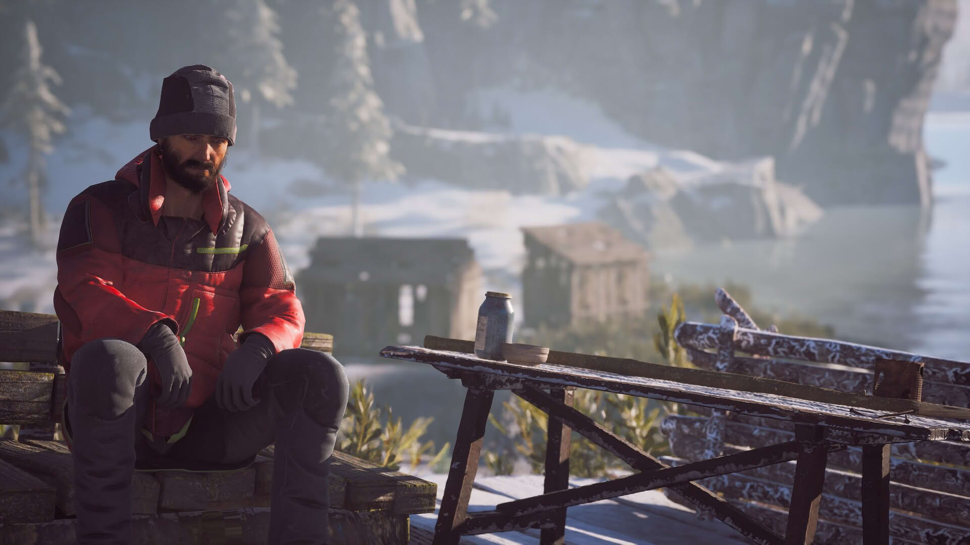 Screenshot for Winter Survival