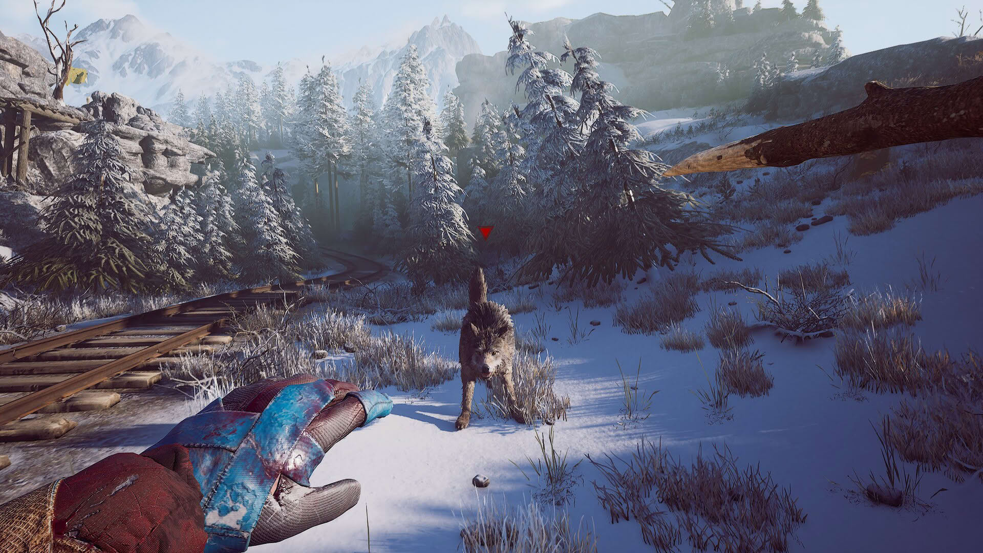 Screenshot for Winter Survival