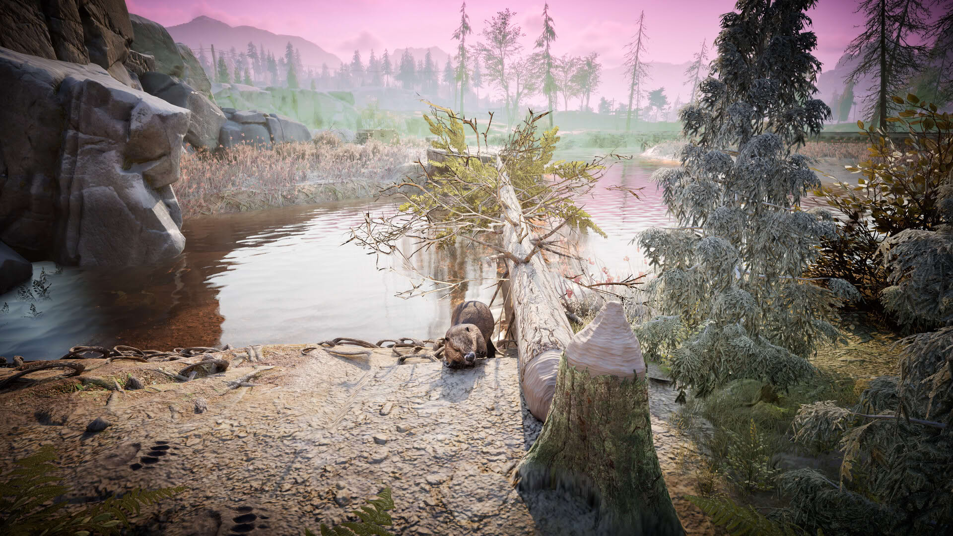 Screenshot for Winter Survival