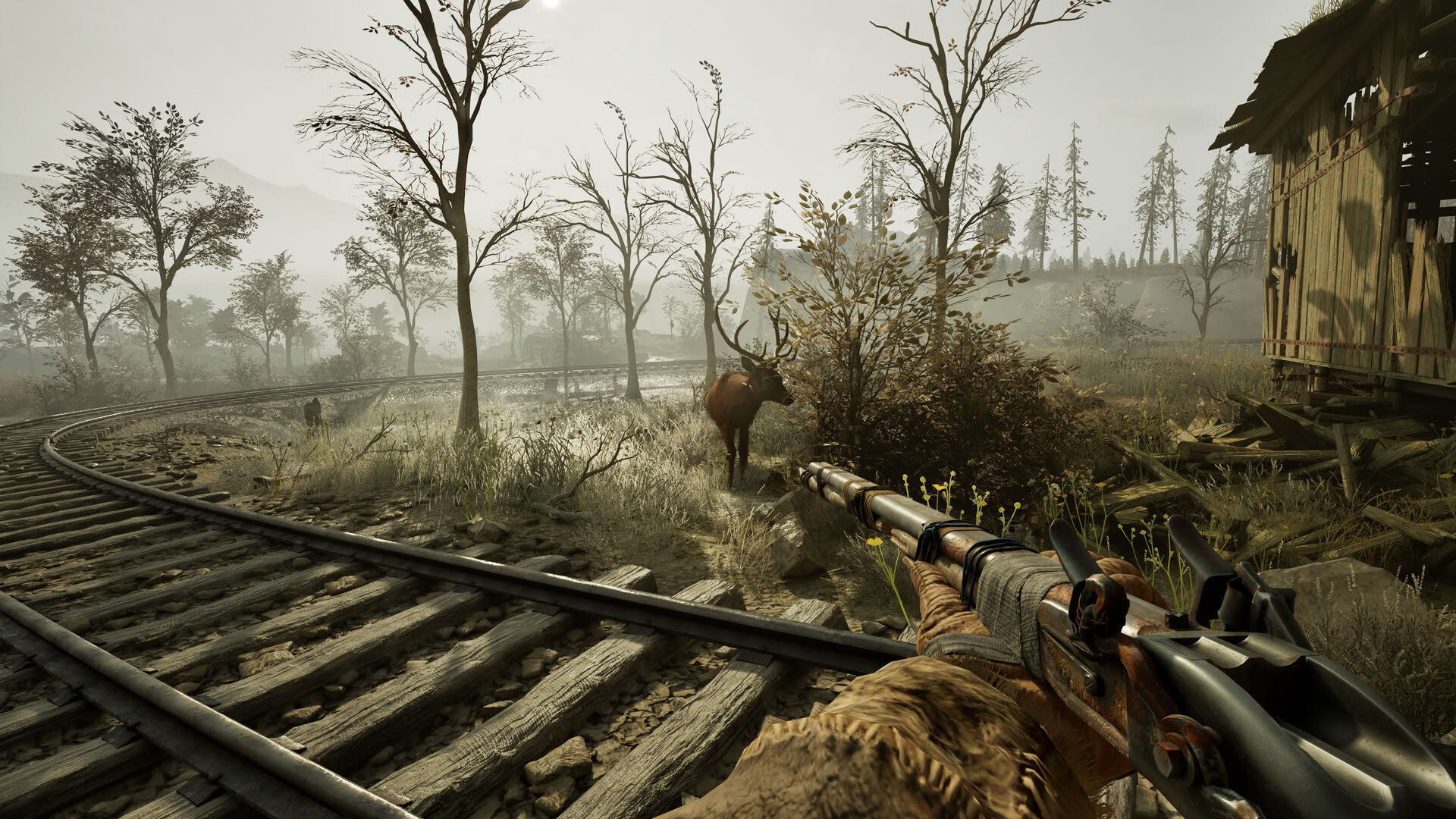 Screenshot for Winter Survival