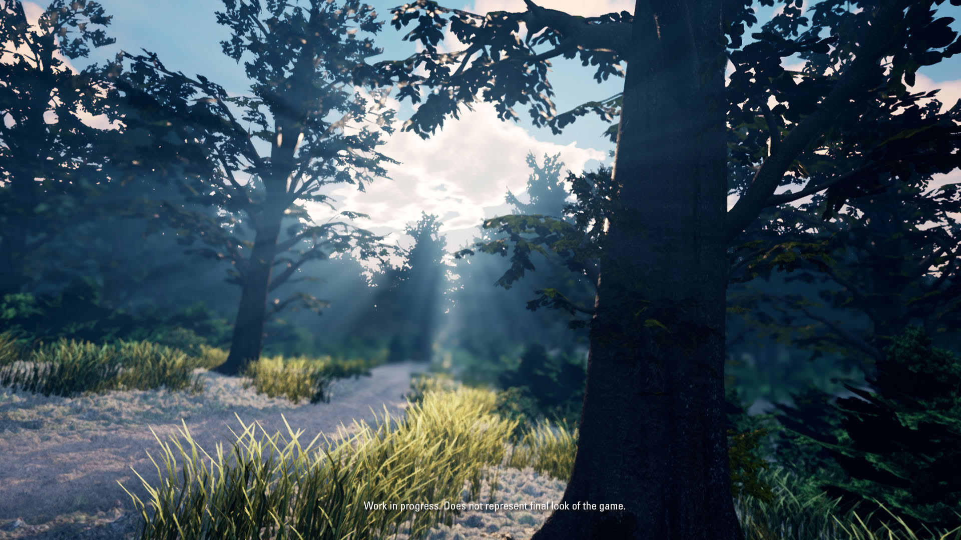 Screenshot for The Origin: Blind Maid