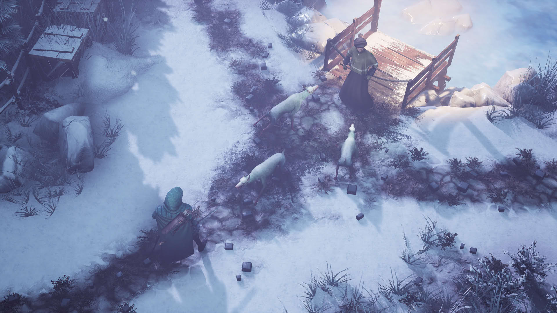 Screenshot for Winter Ember
