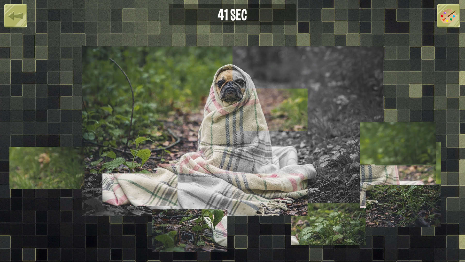 Screenshot for Good puzzle: Animals