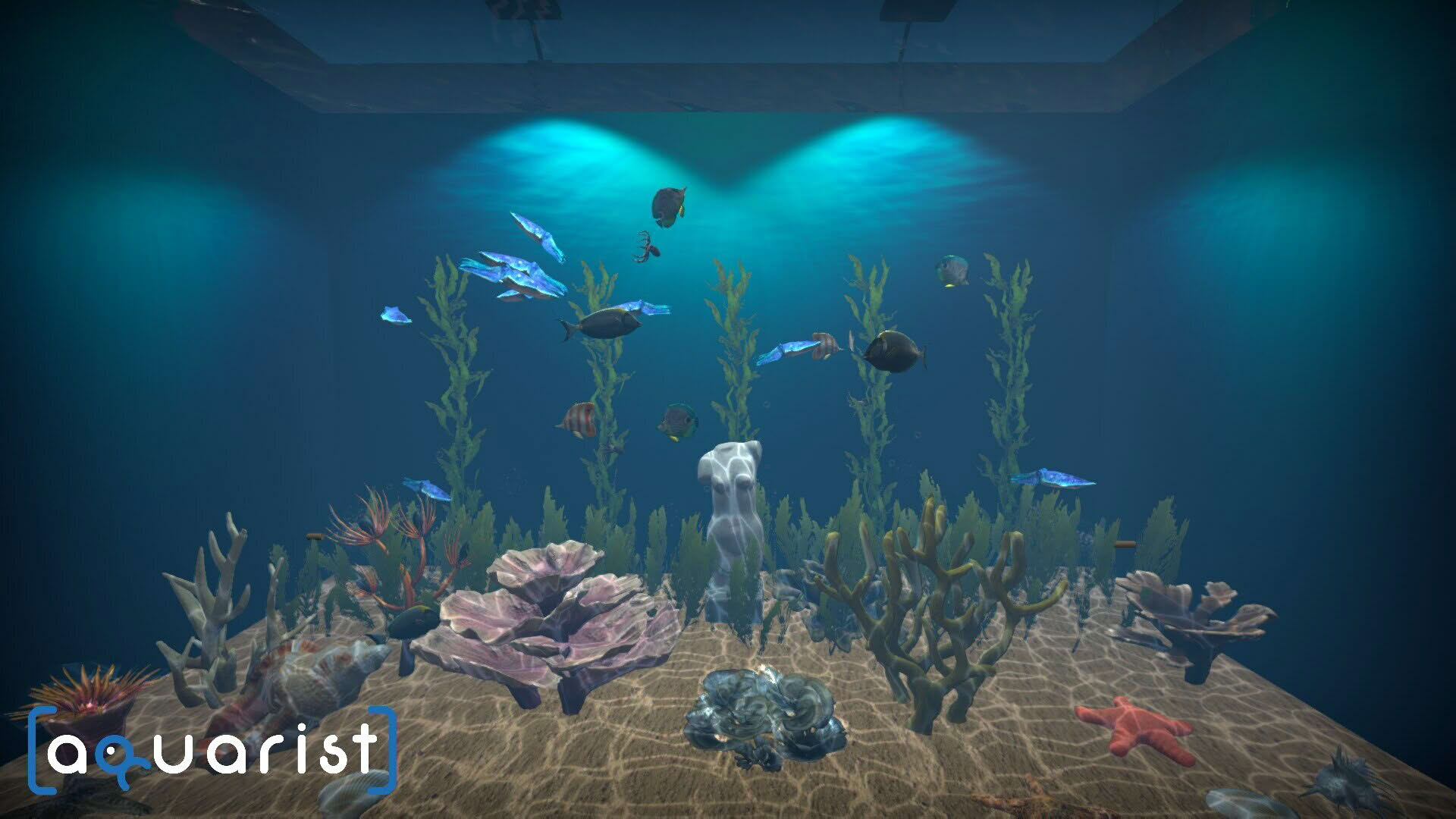 Screenshot for Aquarist
