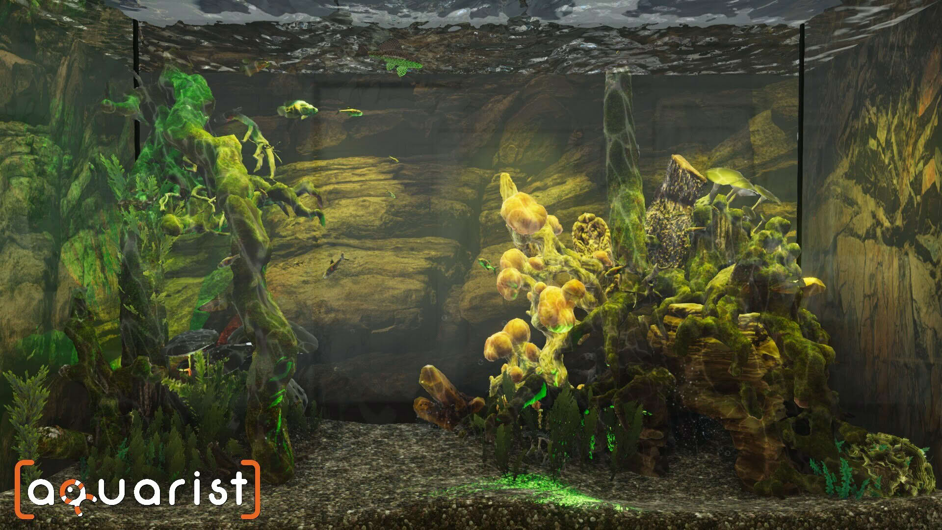 Screenshot for Aquarist