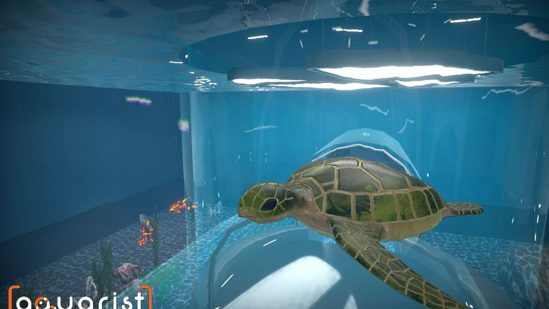 Screenshot for Aquarist