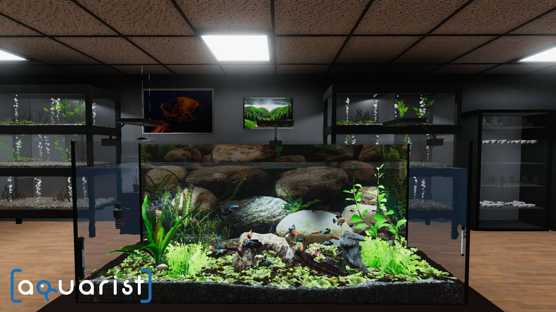 Screenshot for Aquarist
