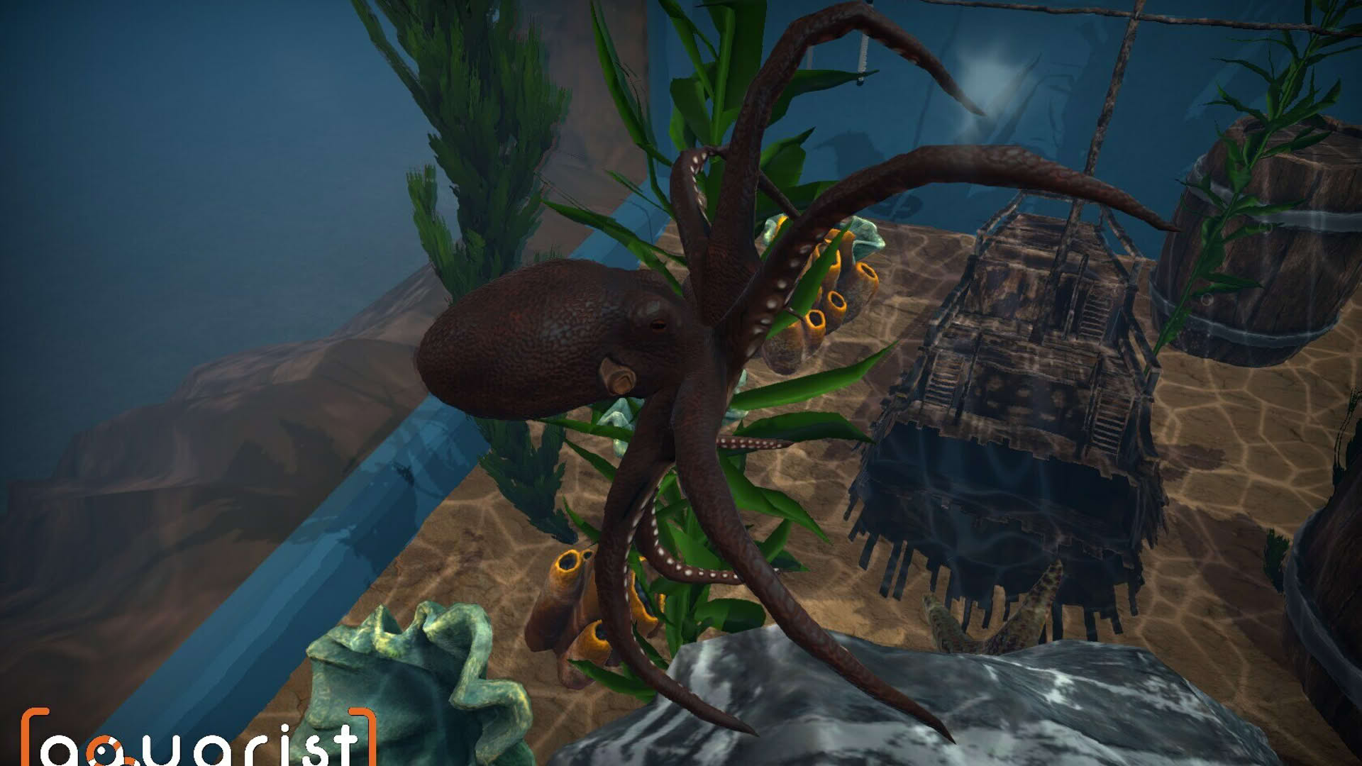 Screenshot for Aquarist