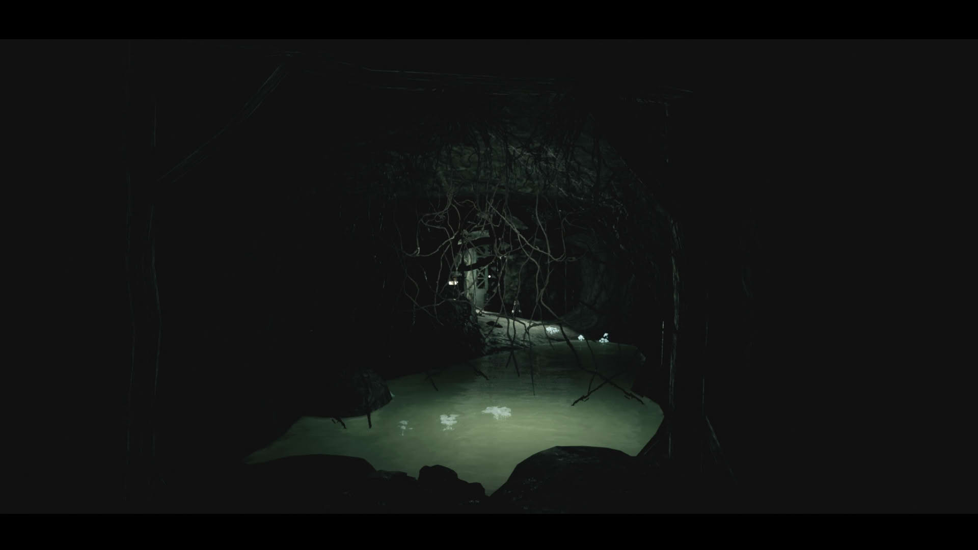 Screenshot for Ebola 2