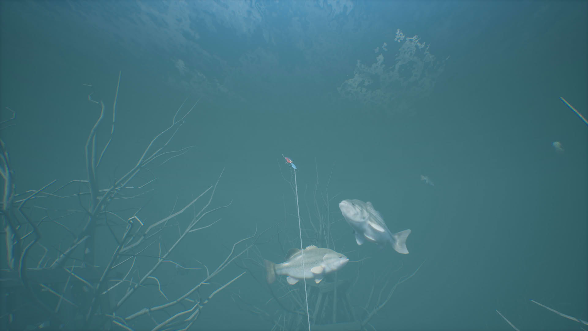 Screenshot for Bassmaster Fishing 2022