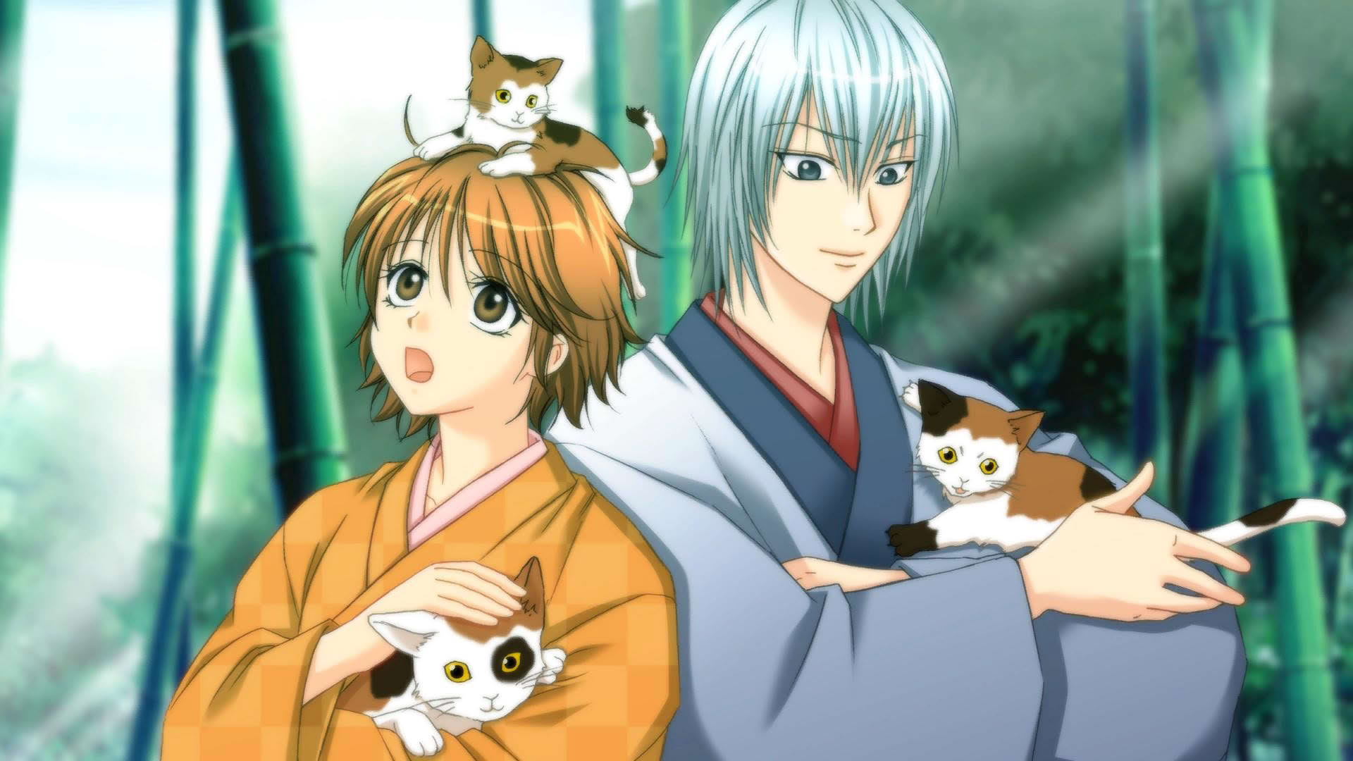Screenshot for Bakumatsu Renka Shinsengumi