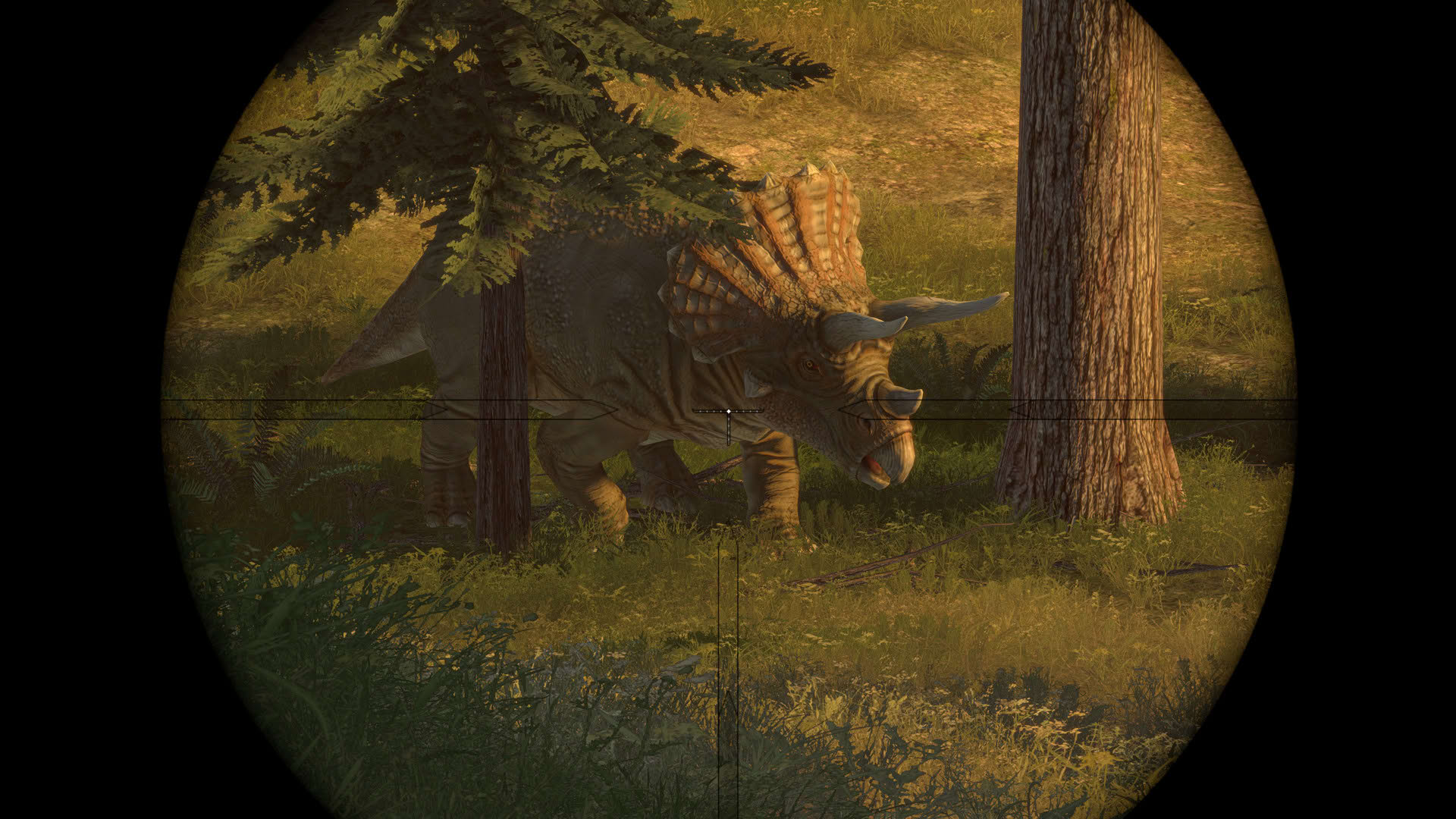 Screenshot for Carnivores: Dinosaur Hunter