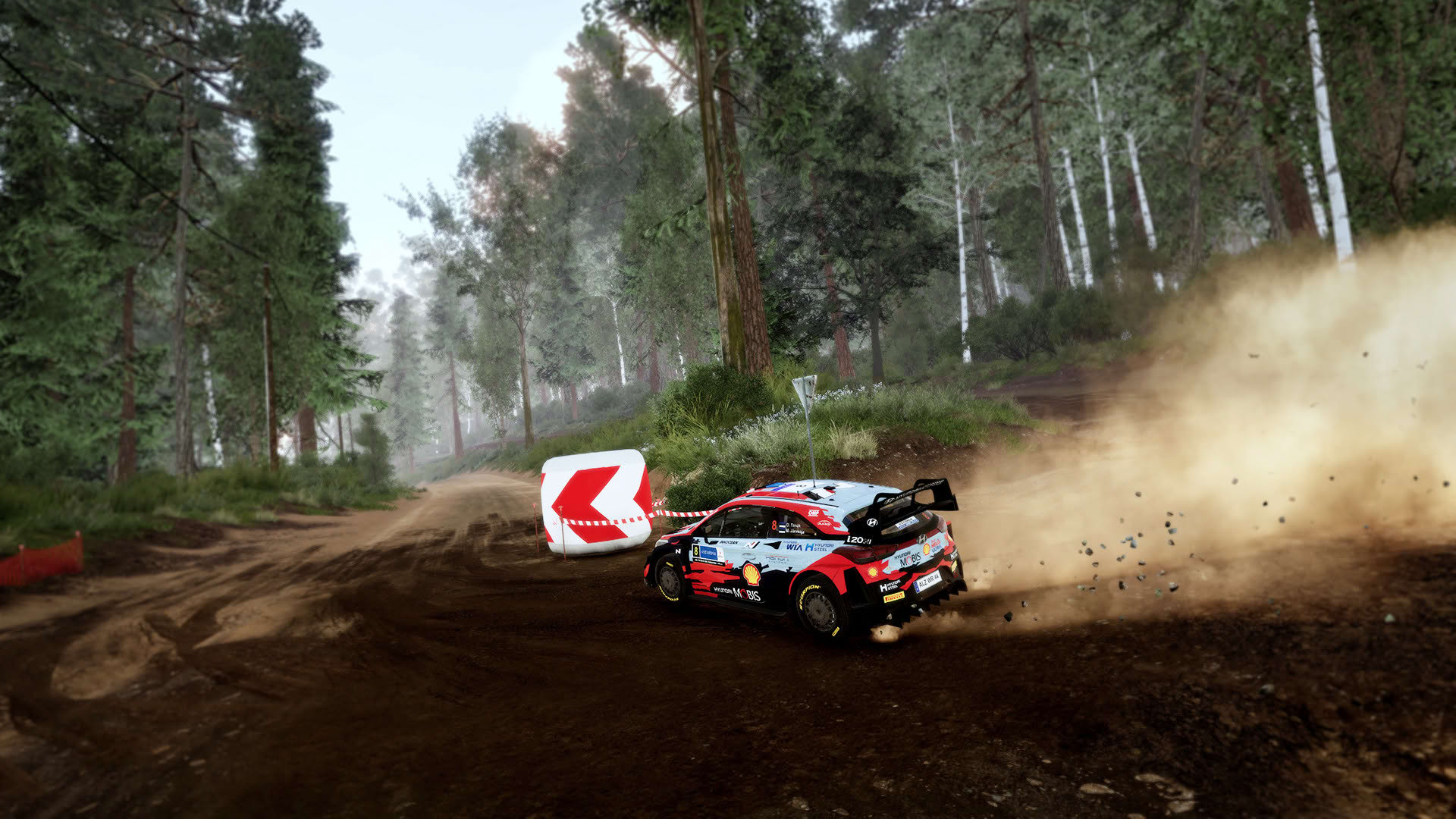 Screenshot for WRC 10