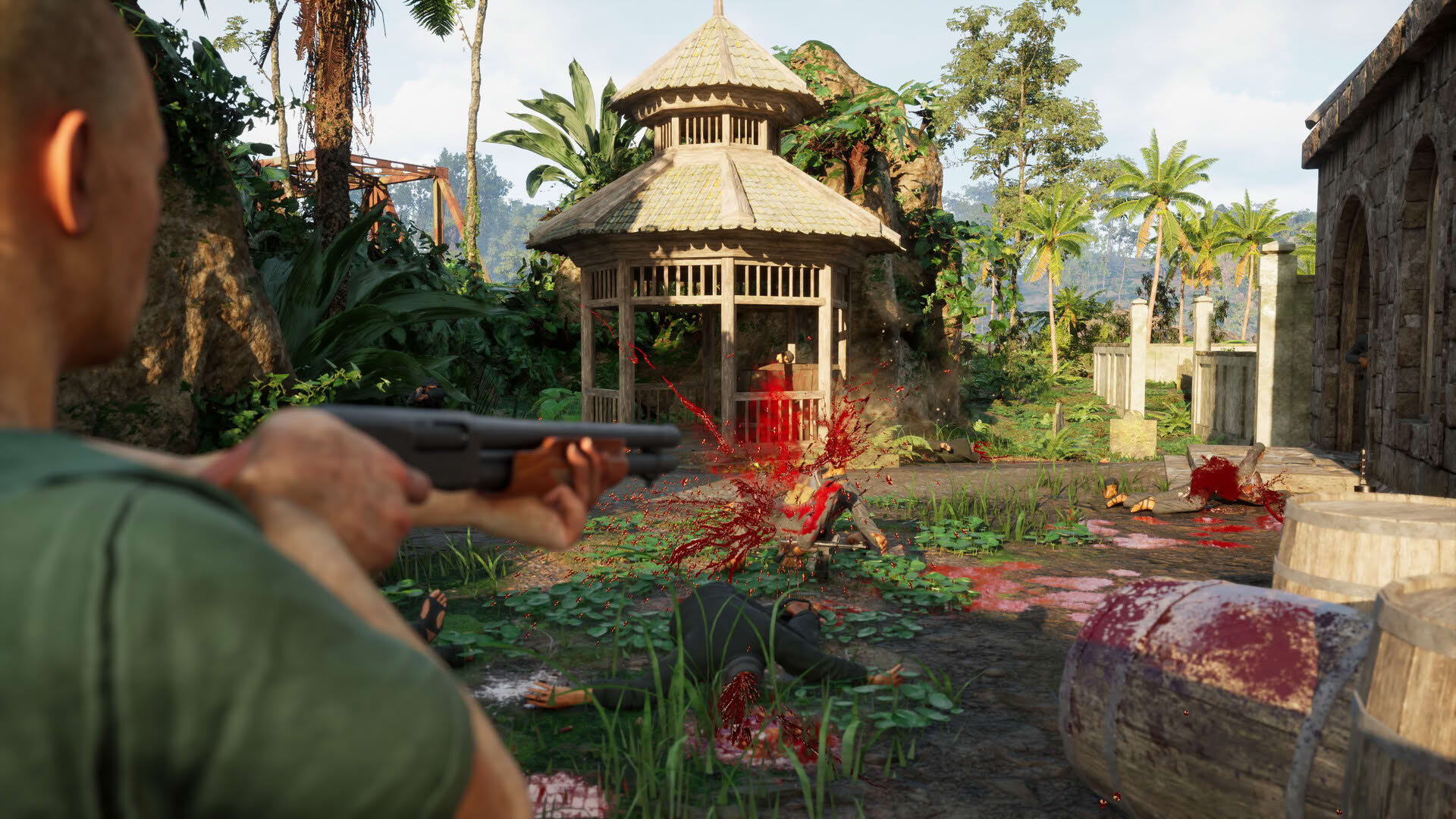Screenshot for Beyond Enemy Lines: Vietnam