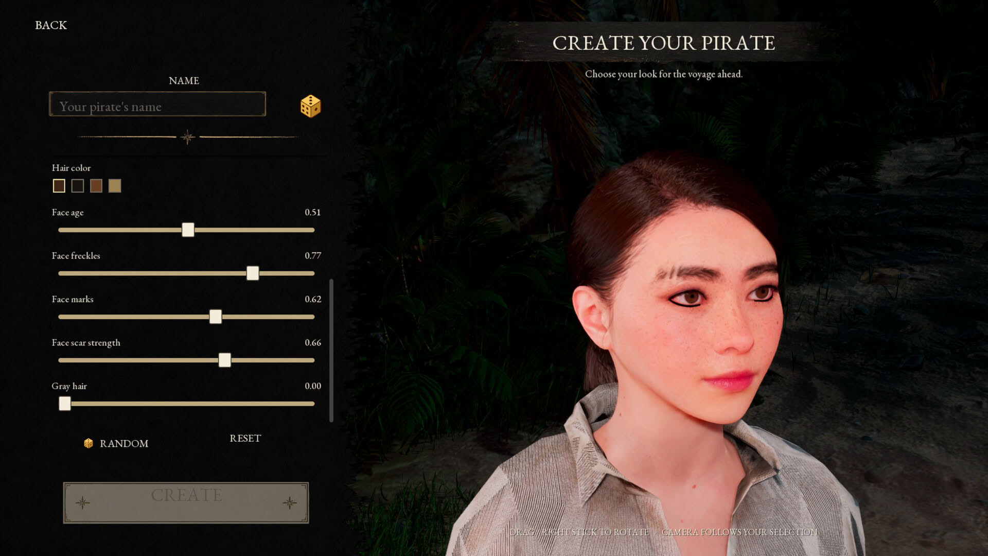 Screenshot for Pirates Republic