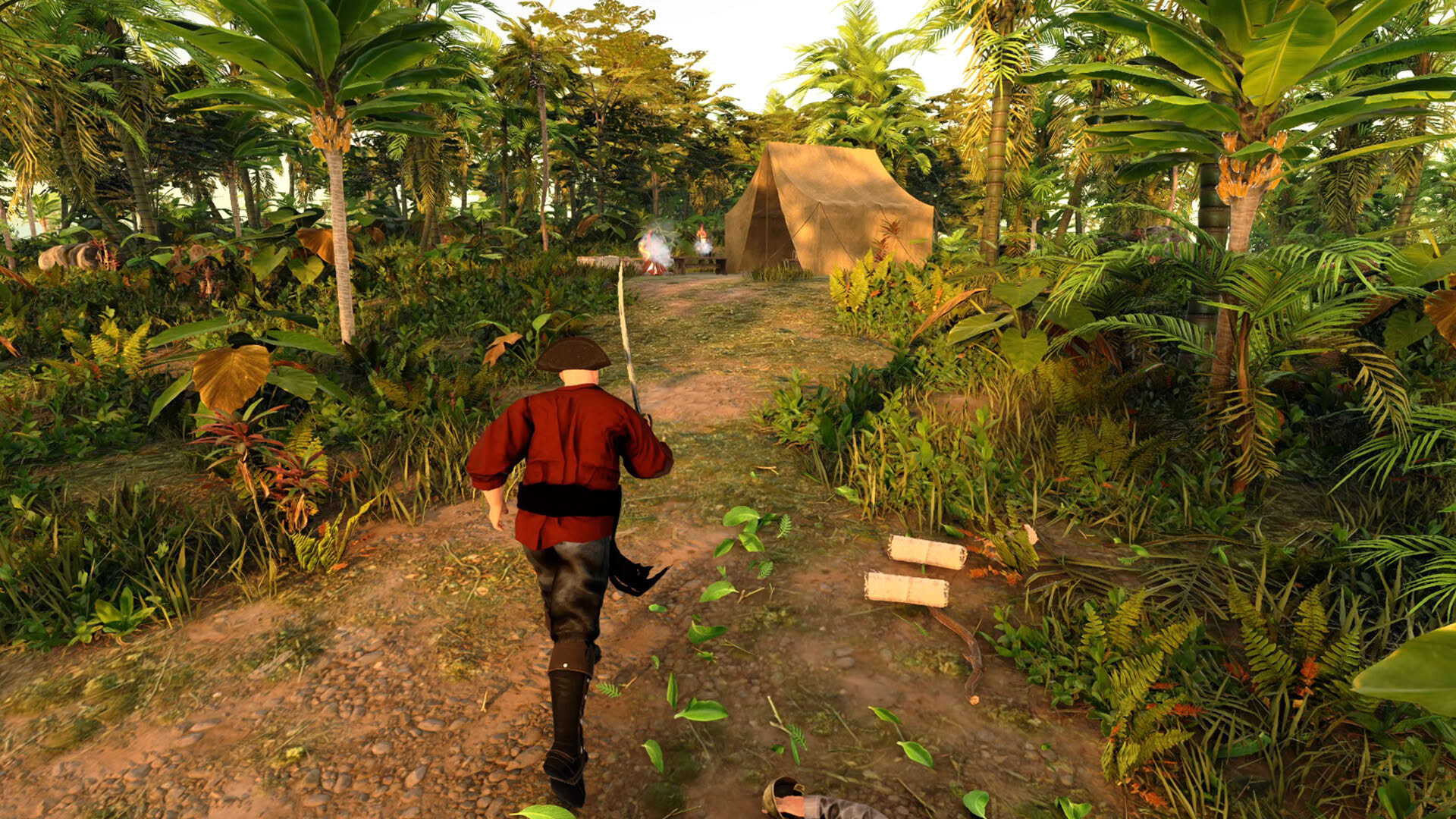 Screenshot for Pirates Republic