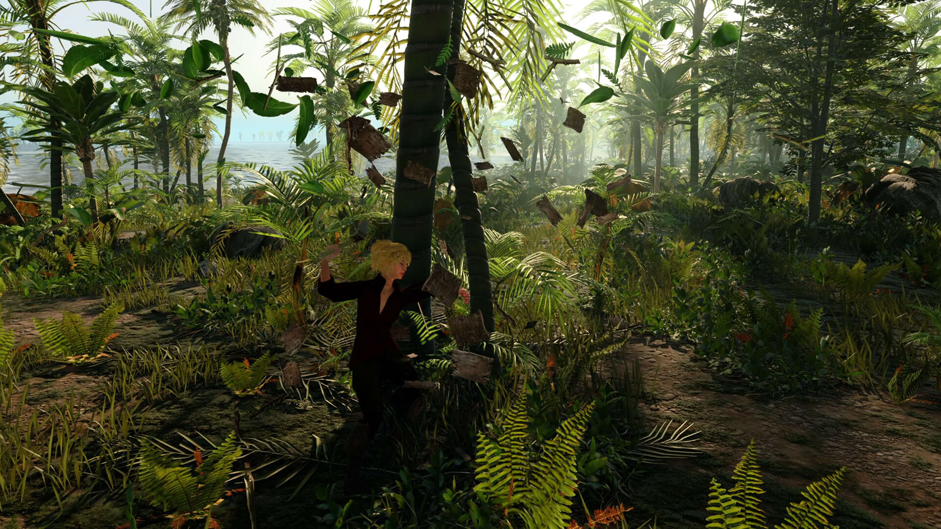Screenshot for Pirates Republic