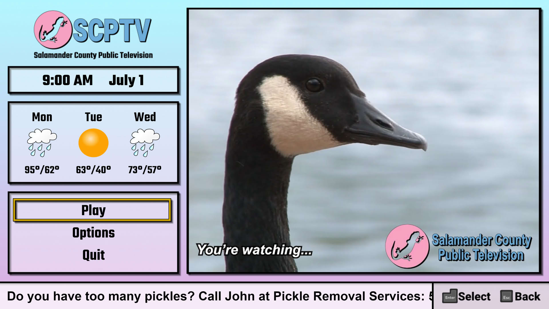 Screenshot for Salamander County Public Television