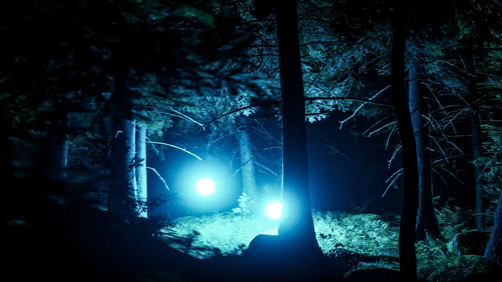 Screenshot for They Are Here: Alien Abduction Horror