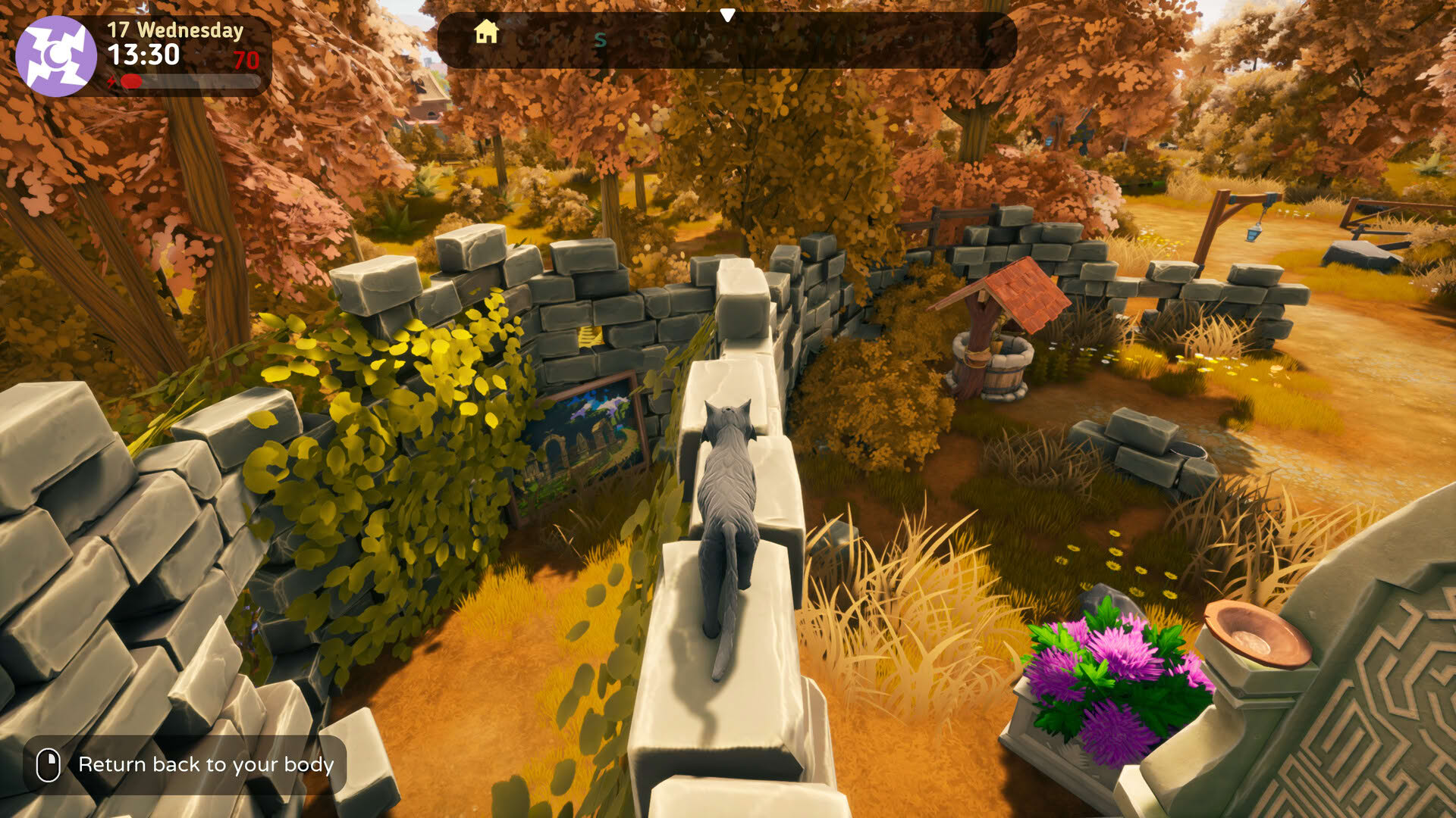 Screenshot for The Witch of Fern Island