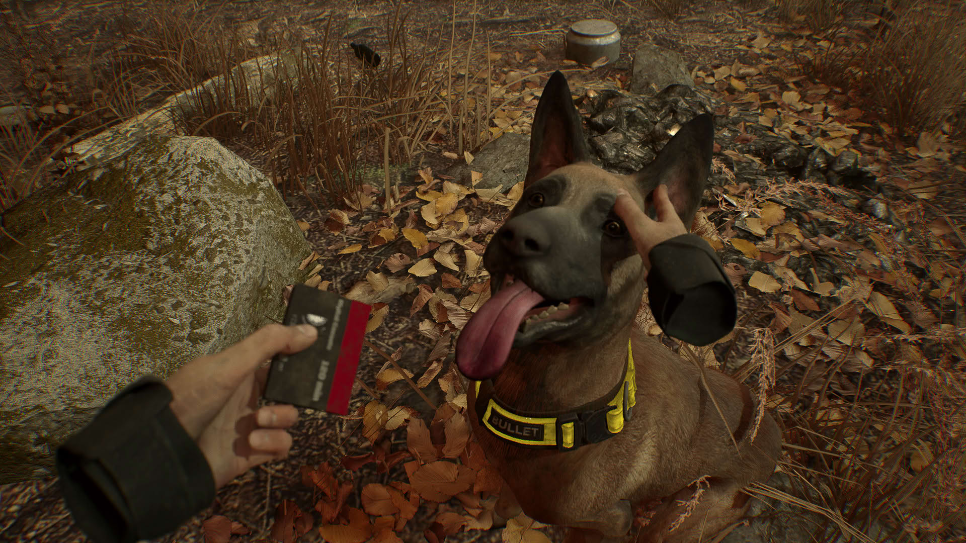Screenshot for Blair Witch VR