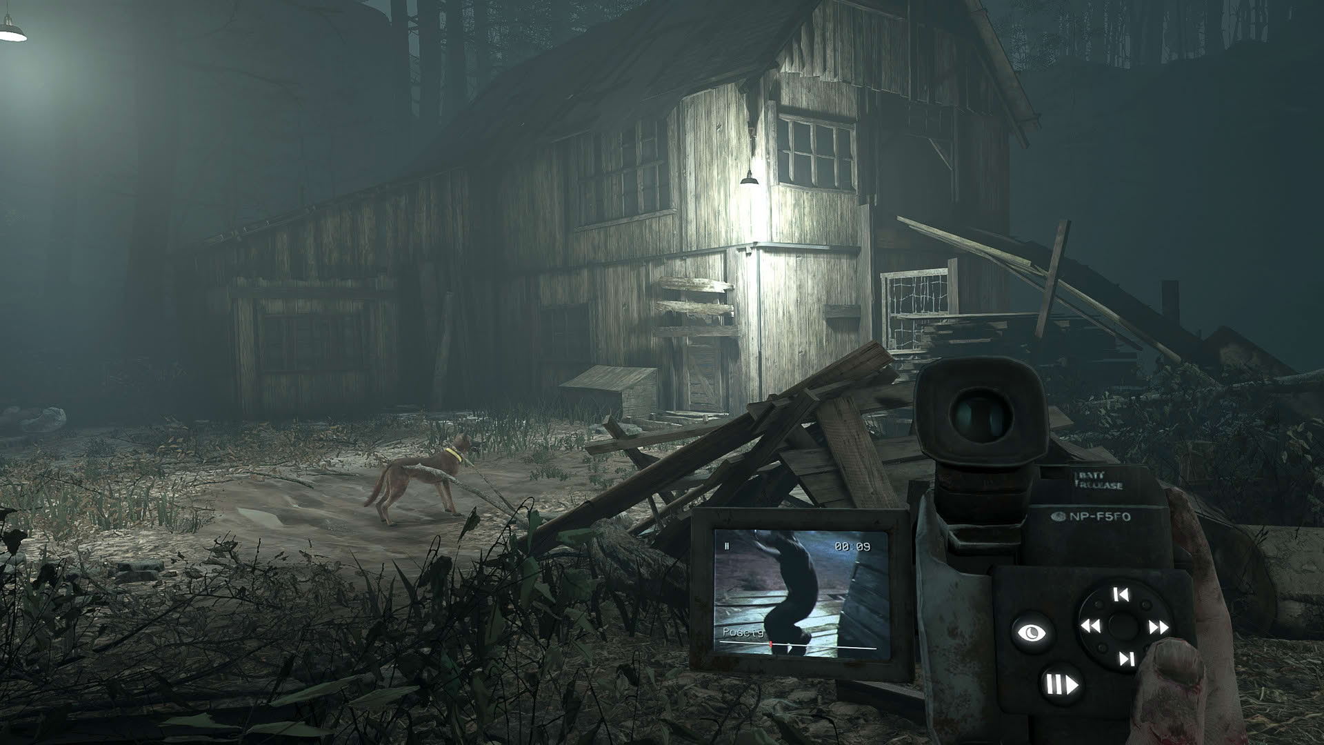 Screenshot for Blair Witch VR