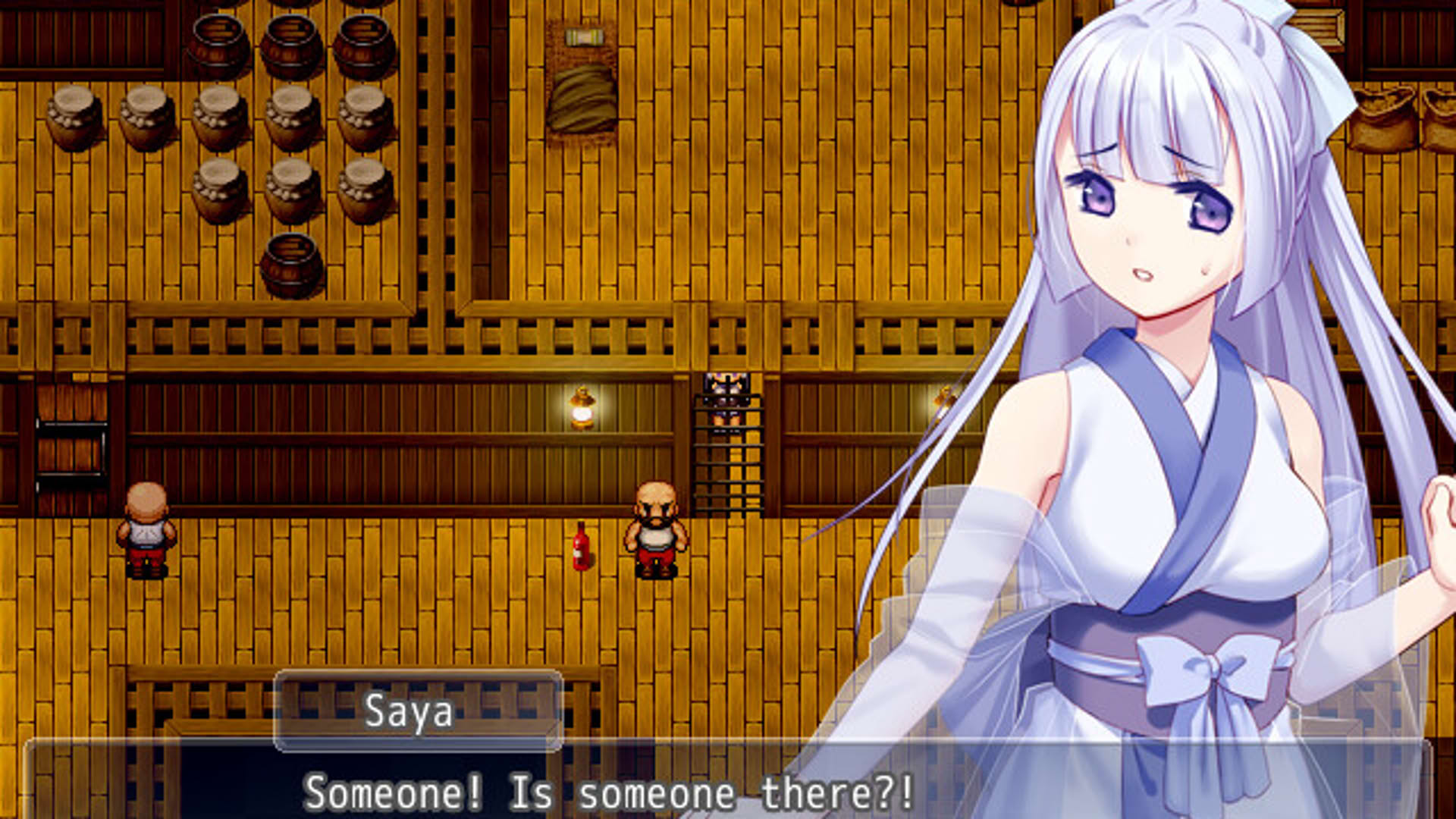Screenshot for Snow-Swept Quest