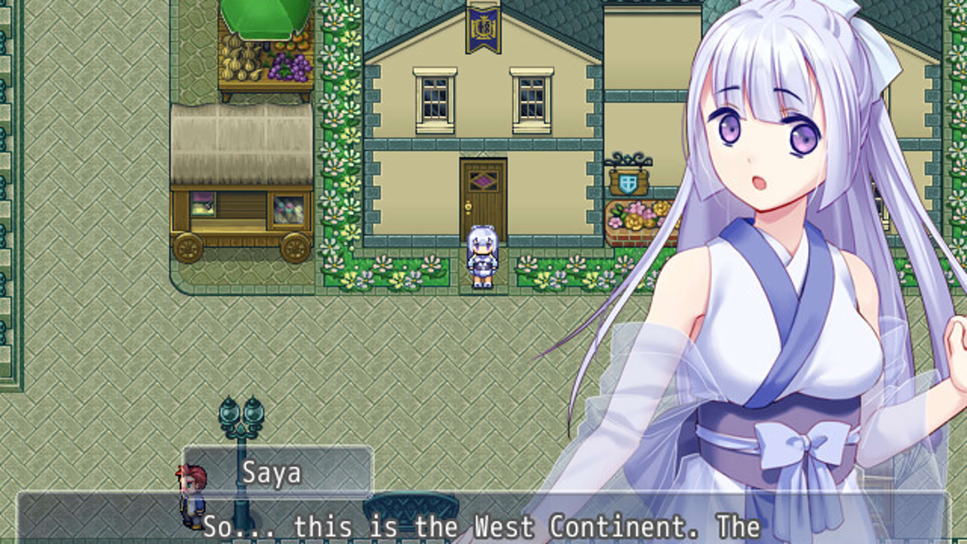 Screenshot for Snow-Swept Quest