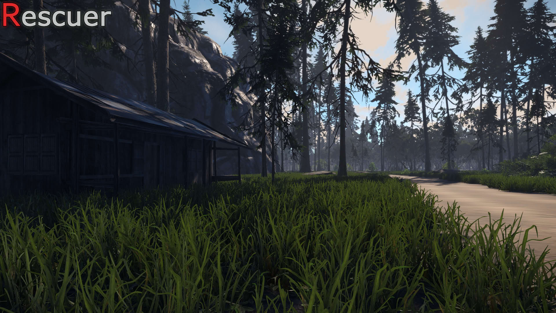 Screenshot for Rescuer
