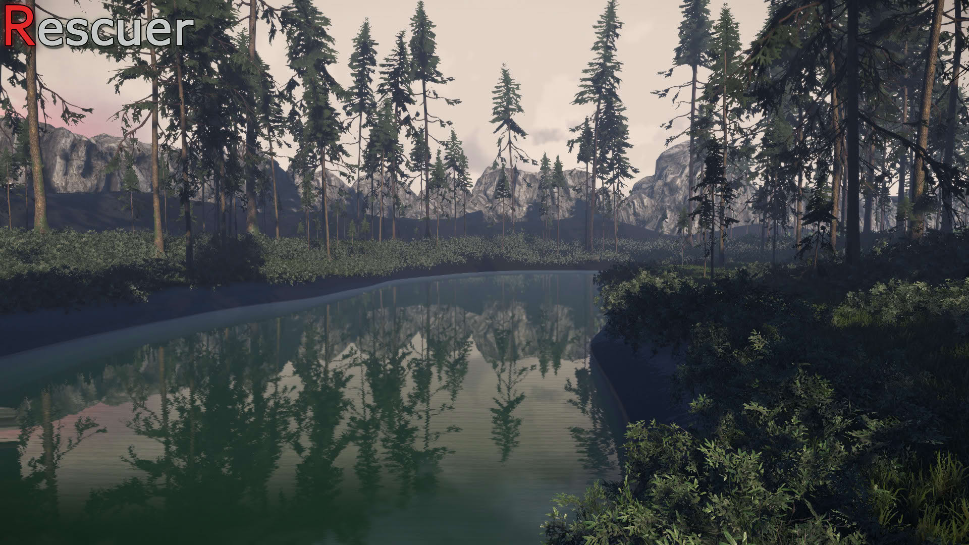 Screenshot for Rescuer