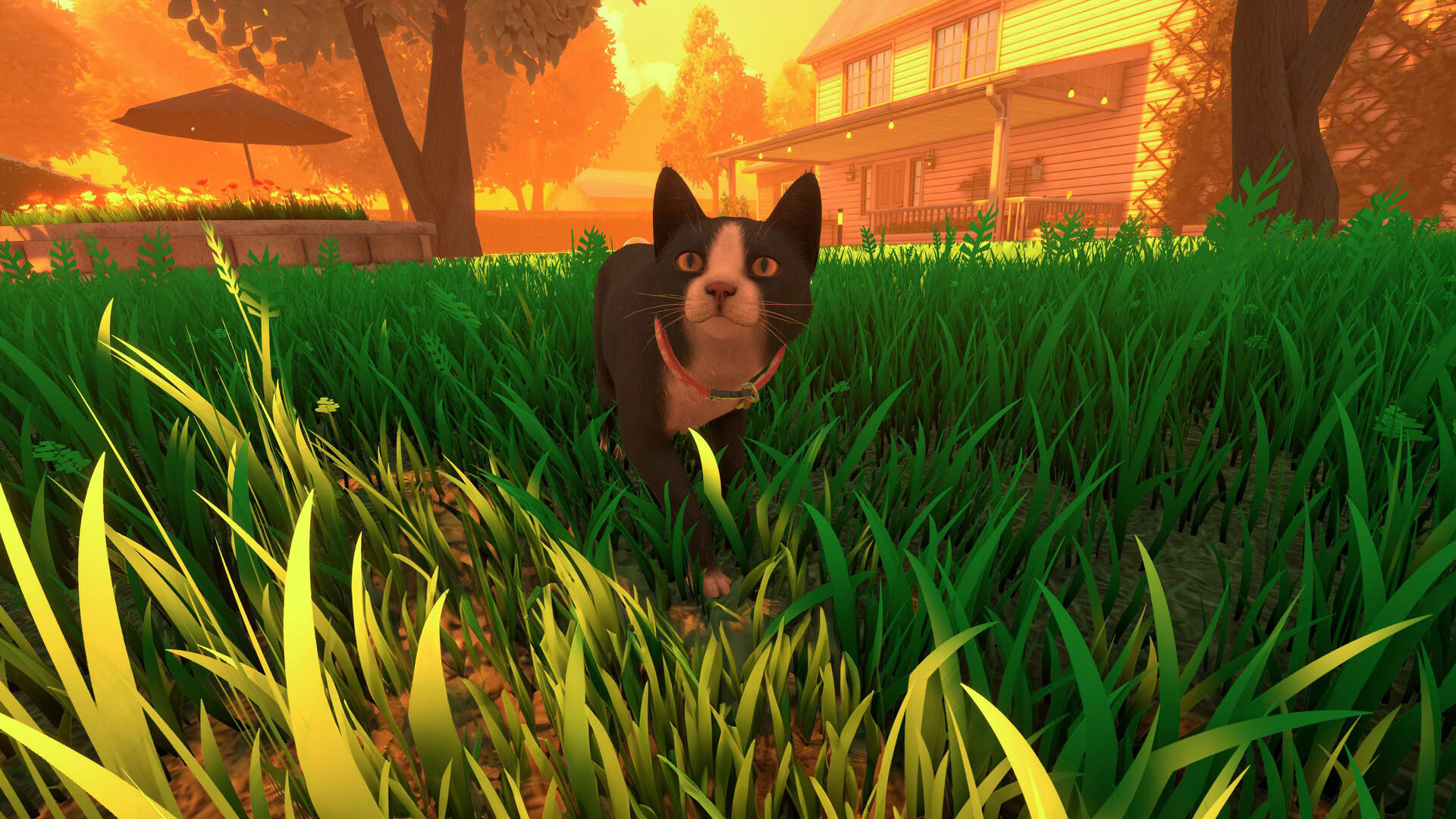 Screenshot for Copycat
