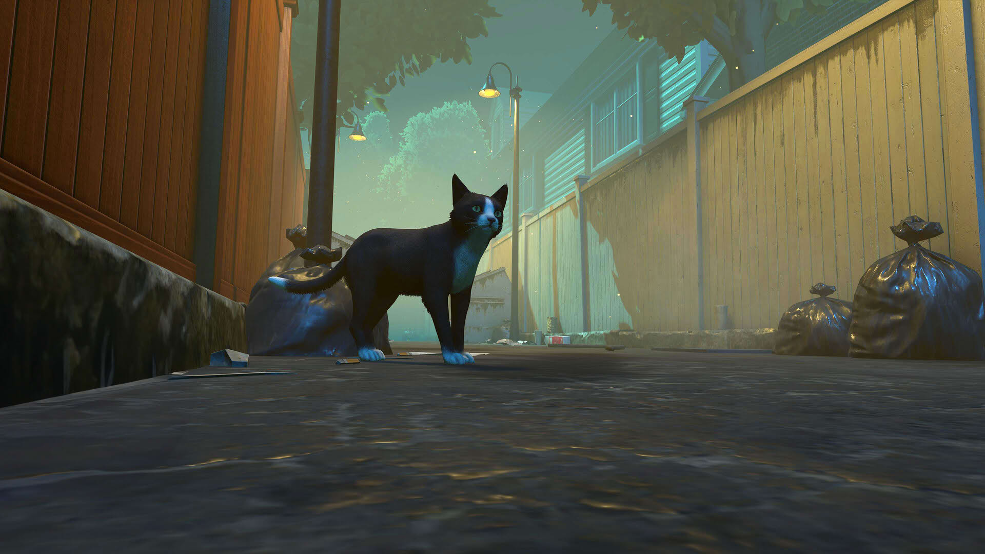 Screenshot for Copycat