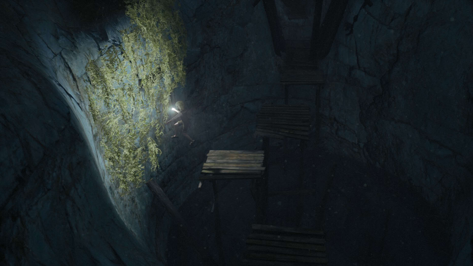 Screenshot for Bramble: The Mountain King
