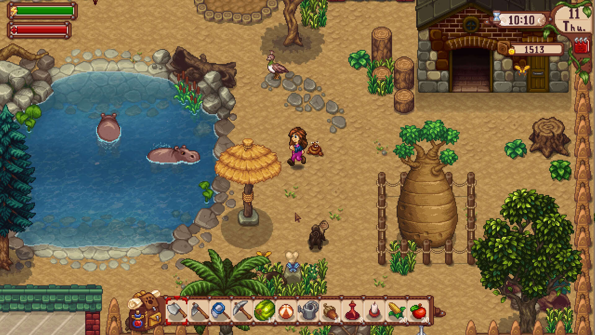 Screenshot for Super Zoo Story