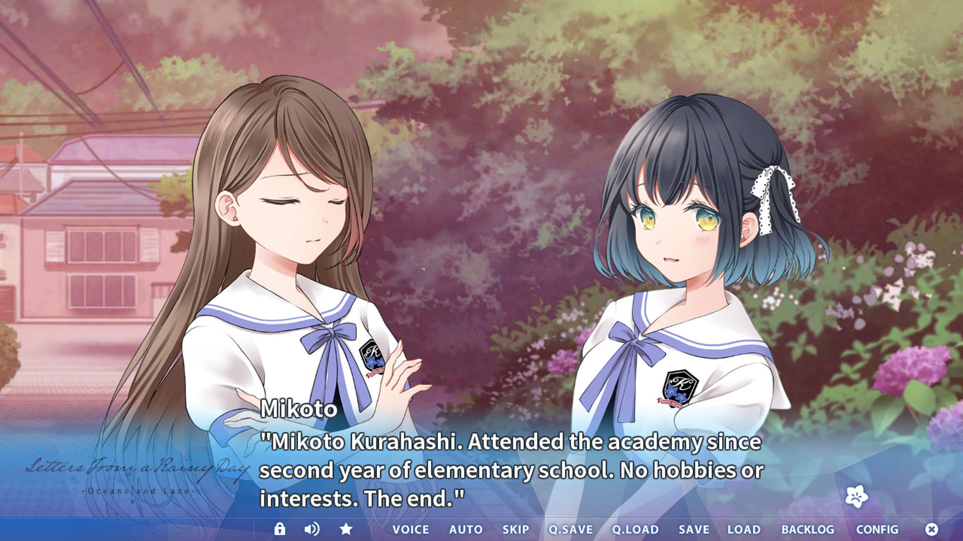 Screenshot for Letters From a Rainy Day: Oceans and Lace