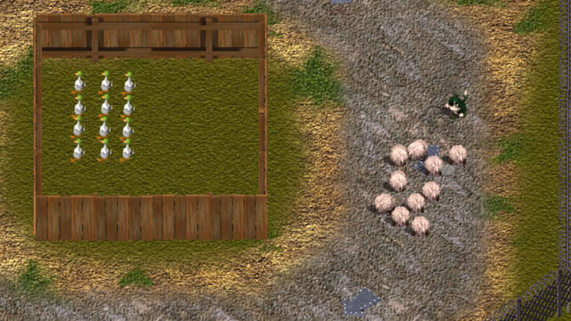 Screenshot for Sheep