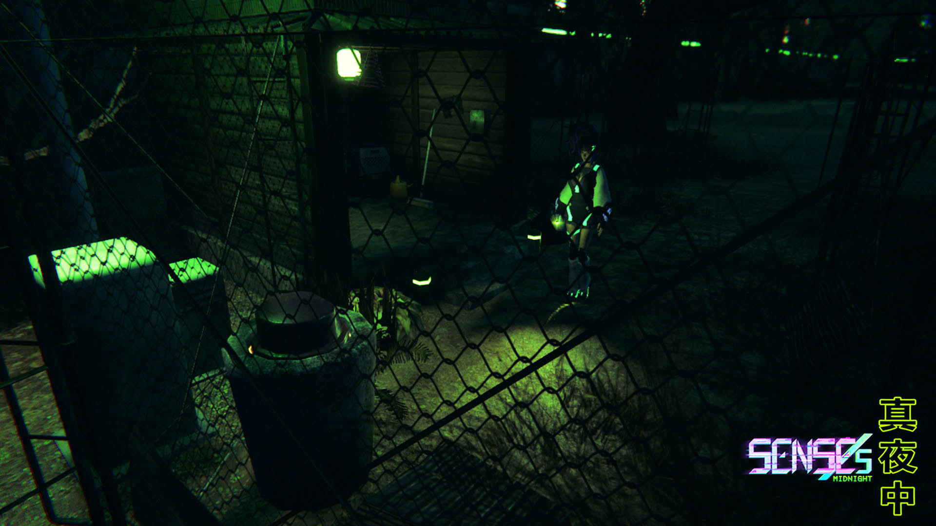Screenshot for Senses: Midnight