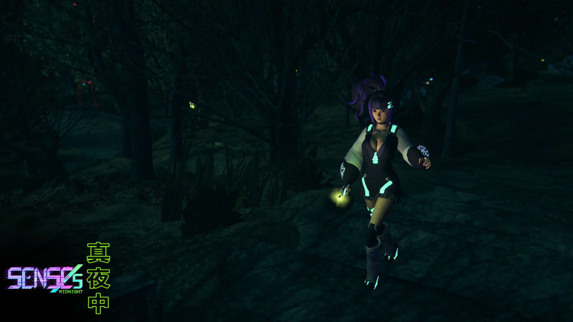 Screenshot for Senses: Midnight