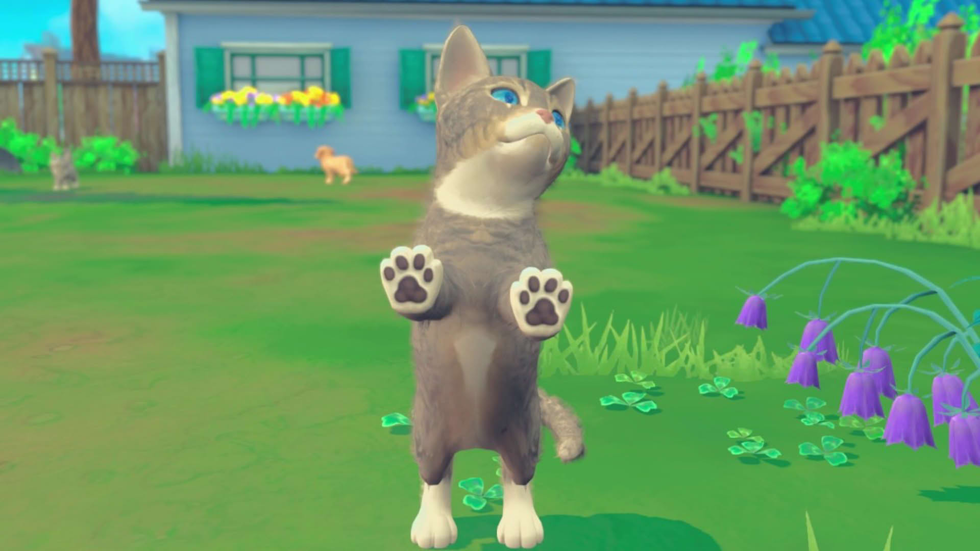 Screenshot for My Universe: Puppies and Kittens