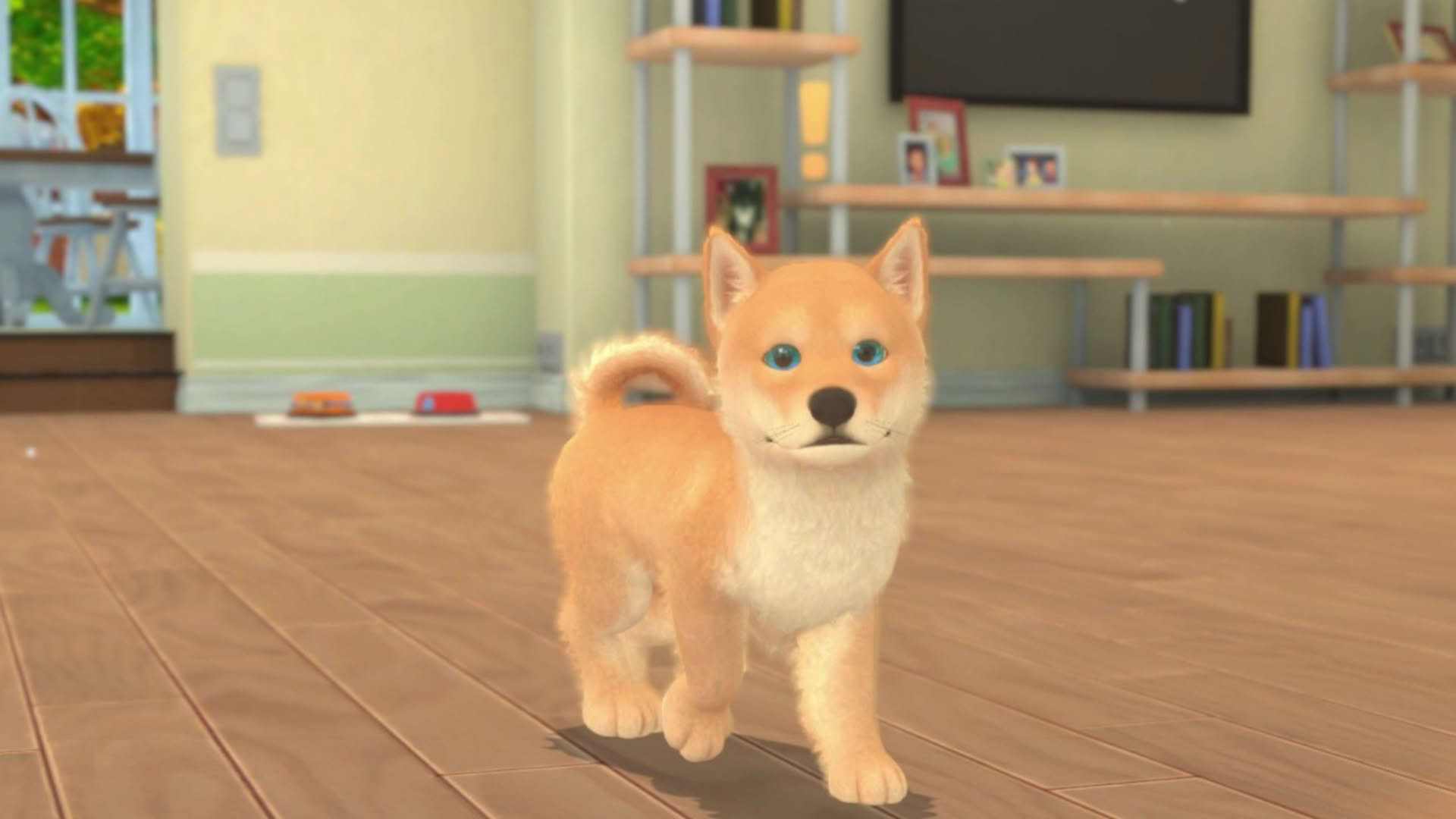 Screenshot for My Universe: Puppies and Kittens