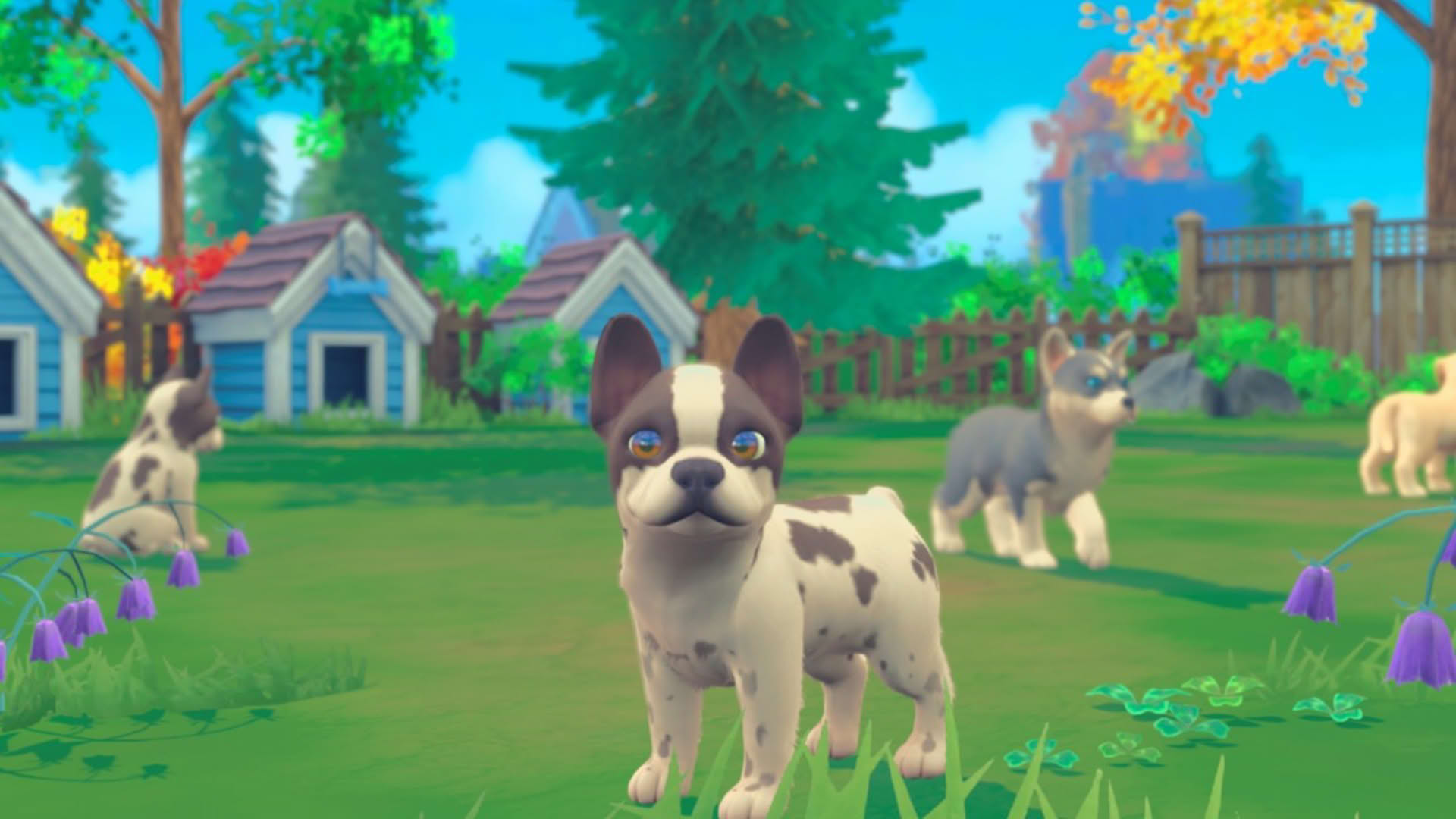 Screenshot for My Universe: Puppies and Kittens