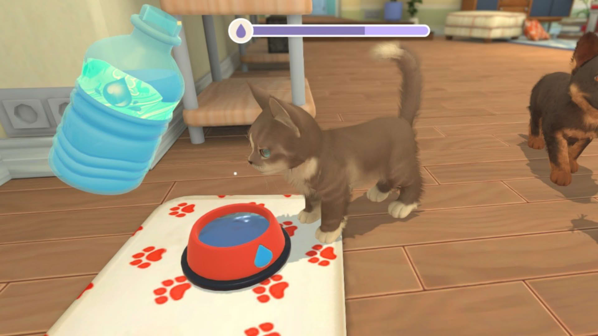 Screenshot for My Universe: Puppies and Kittens