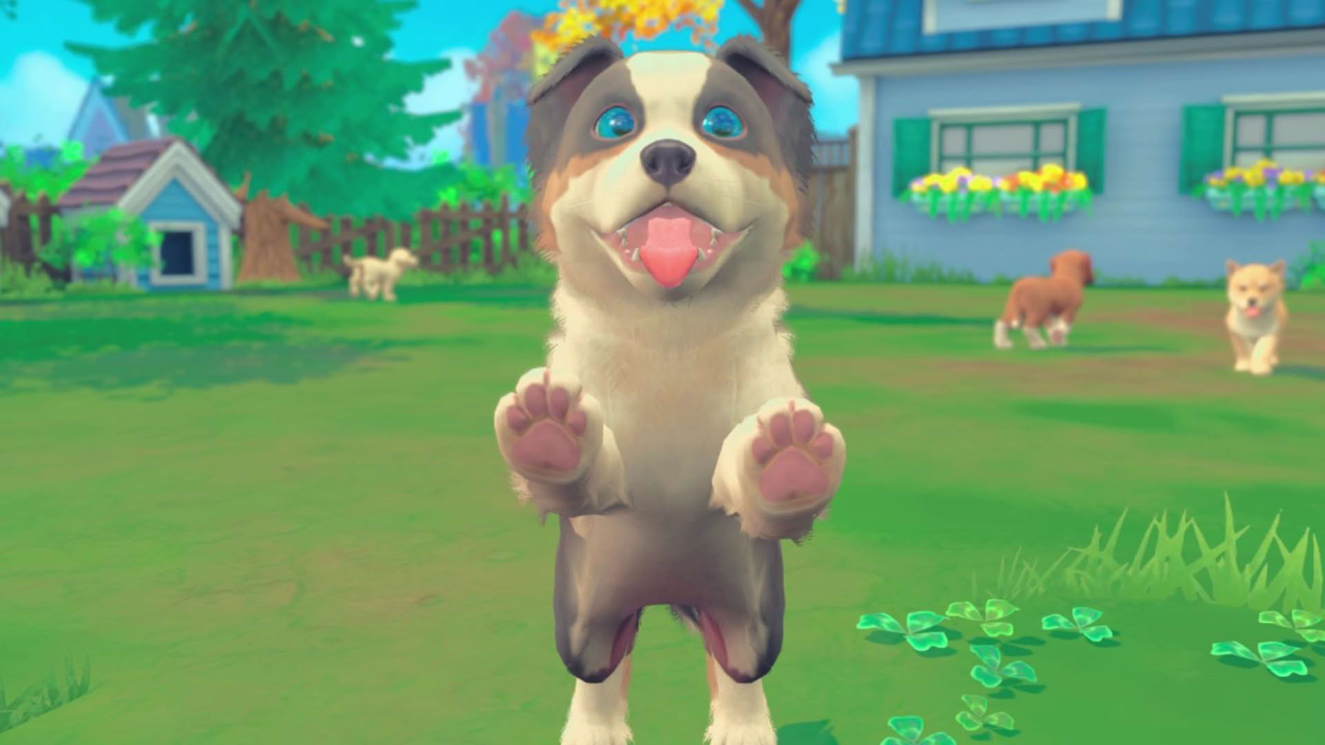Screenshot for My Universe: Puppies and Kittens